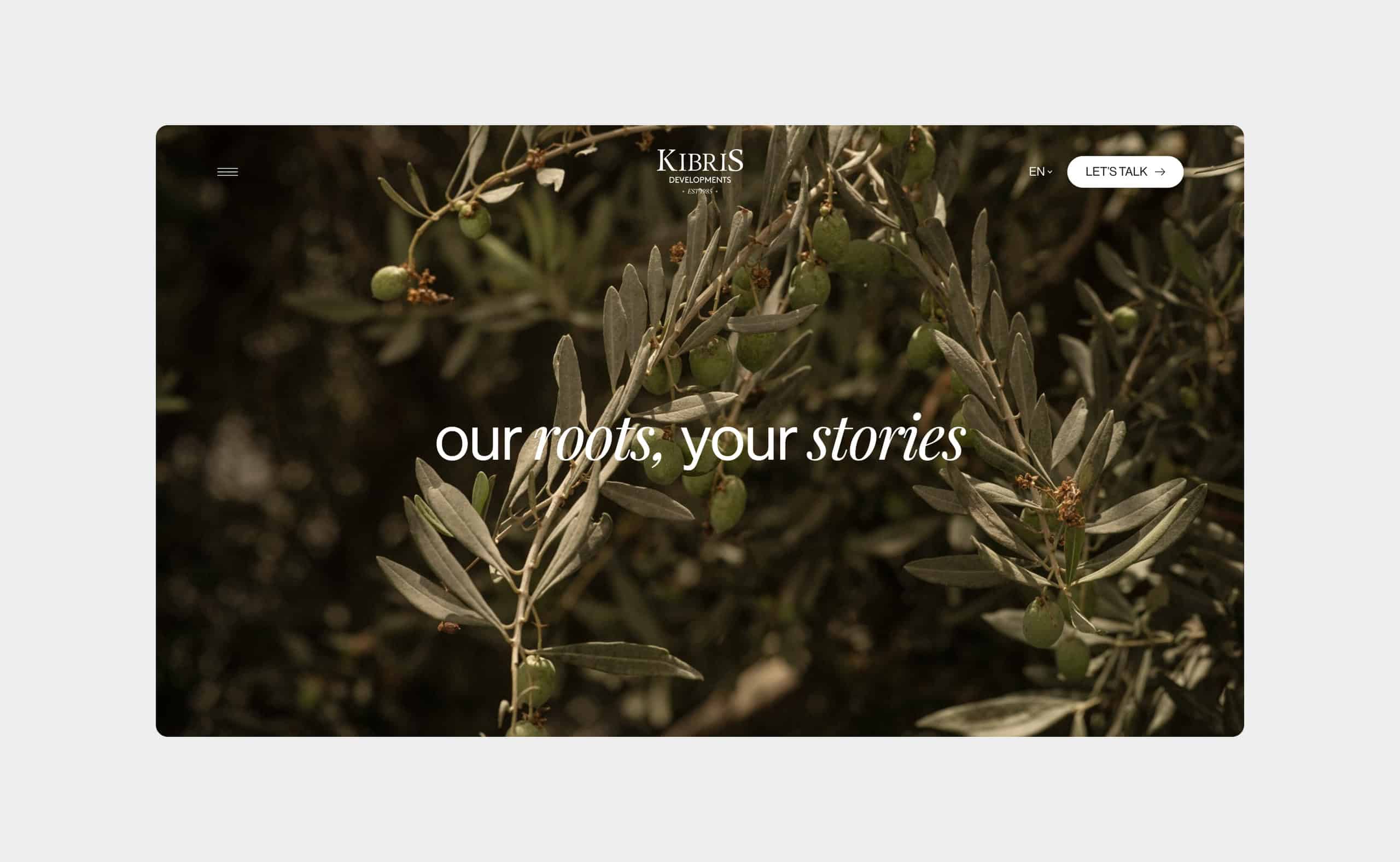 Kıbrıs Developments website preview